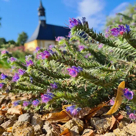Gasthof Arosa